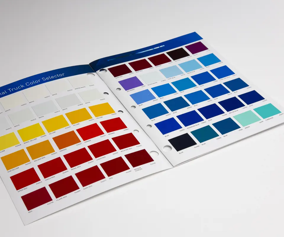 multi color brochure